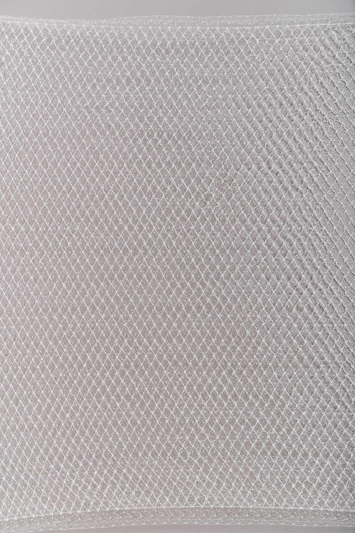 S0682 NET WITH OFF-WHITE BEADS AND TRANSPARENT BUGLE BEADS