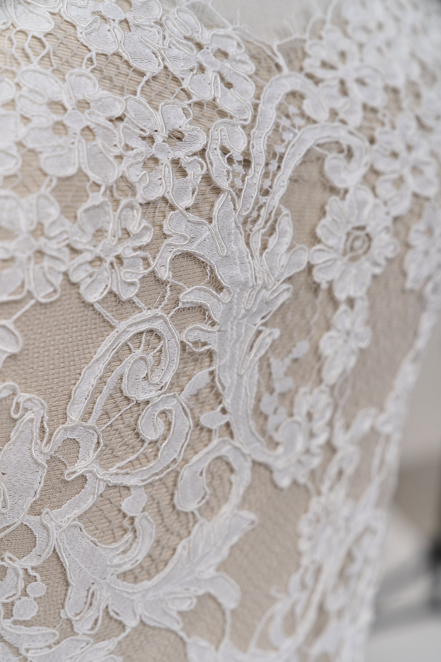 S0688 - CORDED LACE